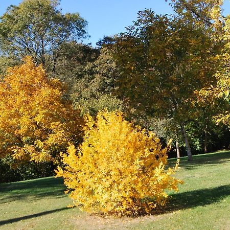 Cleyrac Domaine La Bastide Bed & Breakfast エクステリア 写真