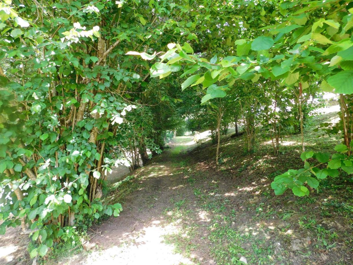 Cleyrac Domaine La Bastide Bed & Breakfast エクステリア 写真